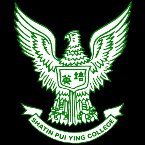 Partner Organization Logo 6